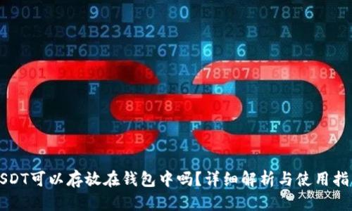 USDT可以存放在钱包中吗?详细解析与使用指南