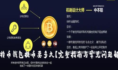 比特币钱包提币要多久?完整指南与常见问题解答
