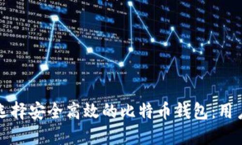 如何选择安全高效的比特币钱包:用户指南