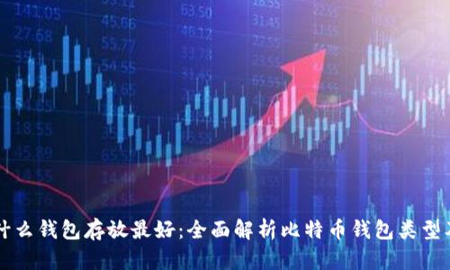 比特币用什么钱包存放最好：全面解析比特币钱包类型及选购指南