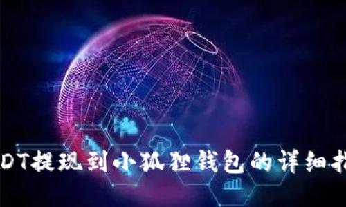 USDT提现到小狐狸钱包的详细指南