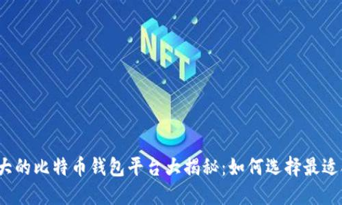 2023年最大的比特币钱包平台大揭秘：如何选择最适合你的钱包