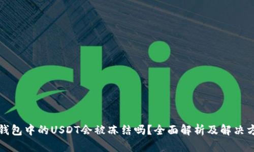 冷钱包中的USDT会被冻结吗?全面解析及解决方案
