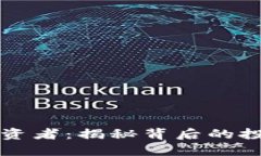 区块链钱包投资者:揭秘背后的投资人及其动机