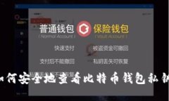 如何安全地查看比特币钱包私钥?