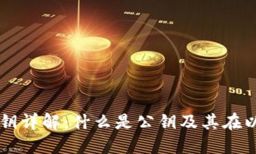 以太坊钱包公钥详解:什么是公钥及其在以太坊中的作用