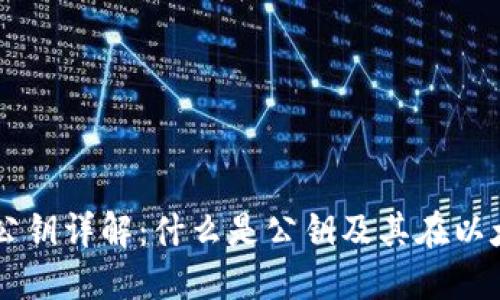 以太坊钱包公钥详解:什么是公钥及其在以太坊中的作用