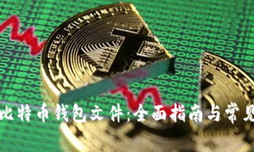 如何打开比特币钱包文件:全面指南与常见问题解答