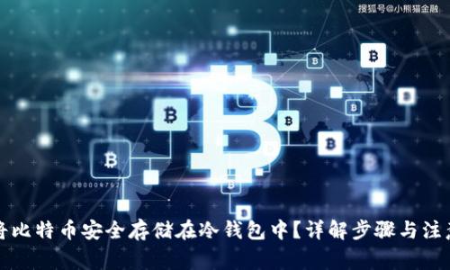 如何将比特币安全存储在冷钱包中?详解步骤与注意事项