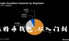 如何安全使用比特币钱包:从入门到精通的完整