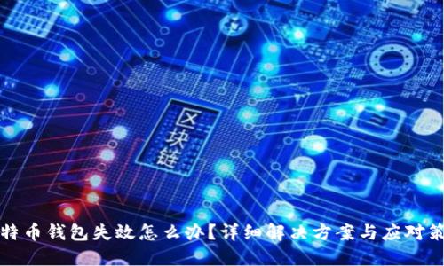 比特币钱包失效怎么办?详细解决方案与应对策略