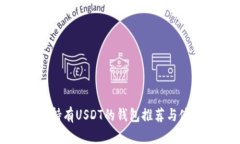 最适合持有USDT的钱包推荐与使用指南