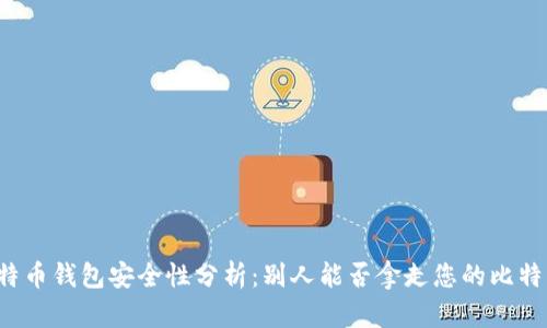 比特币钱包安全性分析:别人能否拿走您的比特币?