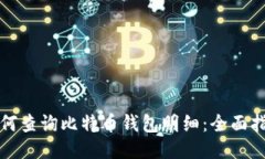 如何查询比特币钱包明细:全面指南