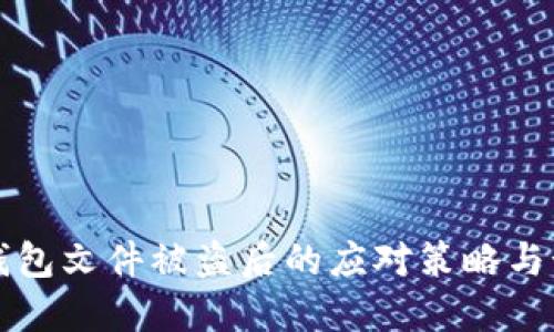比特币钱包文件被盗后的应对策略与预防指南