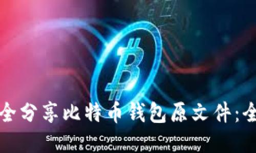 如何安全分享比特币钱包原文件:全面指南