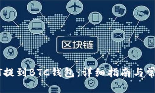 如何将USDT提到BTC钱包：详细指南与常见问题解答