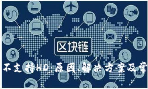 比特币钱包不支持HD:原因、解决方案及常见问题解析