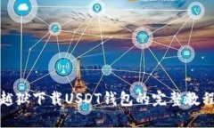 越狱下载USDT钱包的完整教程