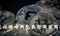 常见比特币钱包类型及使用指南