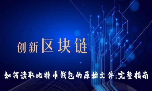 如何读取比特币钱包的原始文件：完整指南