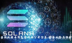如何查询比特币钱包密码的公开信息:安全风险