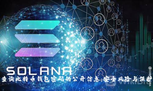 如何查询比特币钱包密码的公开信息:安全风险与保护措施
