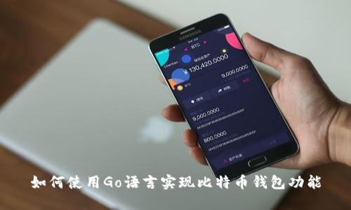 如何使用Go语言实现比特币钱包功能