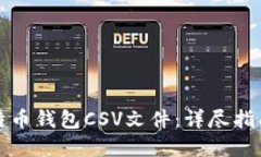 如何处理比特币钱包CSV文件:详尽指南与问题解