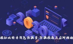 揭秘比特币钱包诈骗案:防骗指南与应对措施