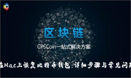 如何在Mac上恢复比特币钱包:详细步骤与常见问题解答