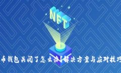 比特币钱包关闭了怎么办？解决方案与应对技巧