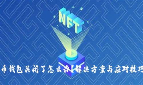 比特币钱包关闭了怎么办?解决方案与应对技巧一览