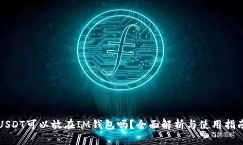 USDT可以放在IM钱包吗?全面解析与使用指南