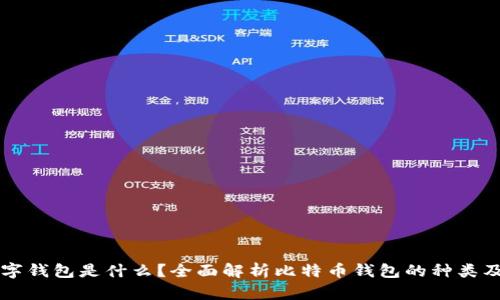 比特币数字钱包是什么？全面解析比特币钱包的种类及使用方法