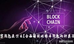比特币数字钱包是什么?全面解析比特币钱包的