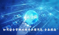 如何安全管理比特币大额钱包：全面指南