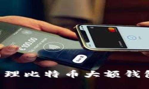 如何安全管理比特币大额钱包:全面指南