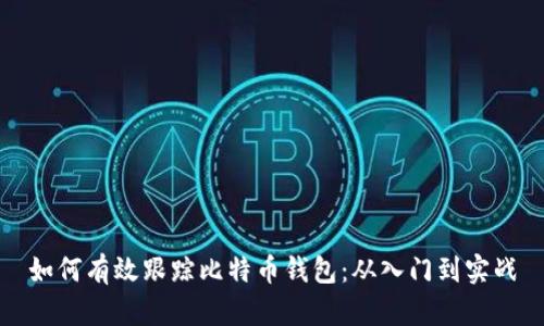 如何有效跟踪比特币钱包:从入门到实战