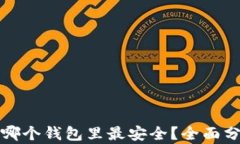 屎币存入哪个钱包里最安全？全面分析与推荐