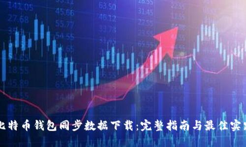 比特币钱包同步数据下载:完整指南与最佳实践