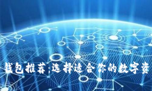 常用比特币钱包推荐:选择适合你的数字资产存储方案