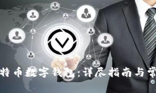 如何下载比特币数字钱包:详尽指南与常见问题解答