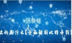 比特币钱包存放的是什么?全面解析比特币钱包