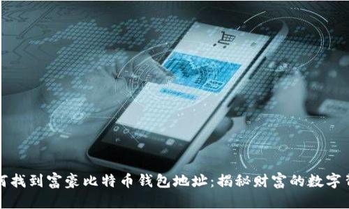 如何找到富豪比特币钱包地址:揭秘财富的数字背影