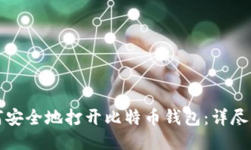 如何安全地打开比特币钱包：详尽指南