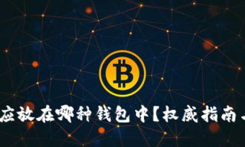 USDT应放在哪种钱包中?权威指南与推荐