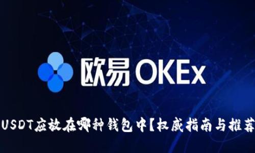 USDT应放在哪种钱包中?权威指南与推荐