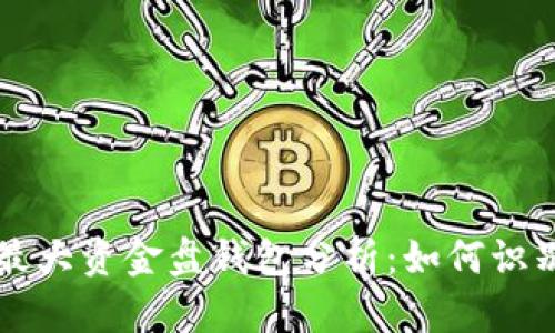 比特币最大资金盘钱包分析:如何识别和使用