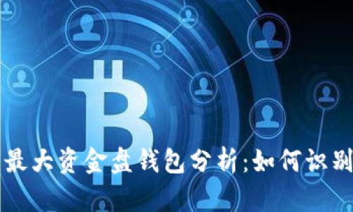 比特币最大资金盘钱包分析:如何识别和使用